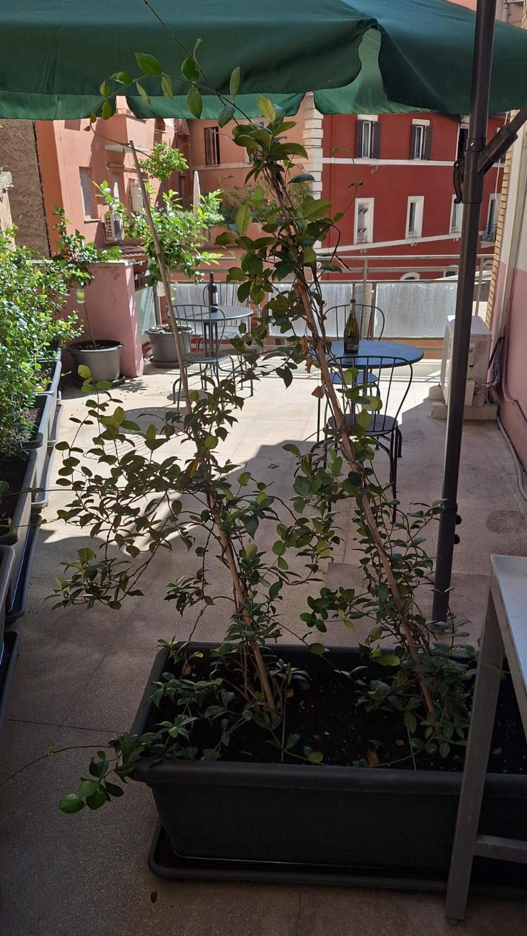 Aparthotel Nasoni Di Roma Zewnętrze zdjęcie